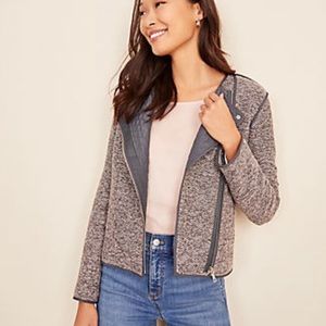 Ann Taylor tweed moto jacket blazer